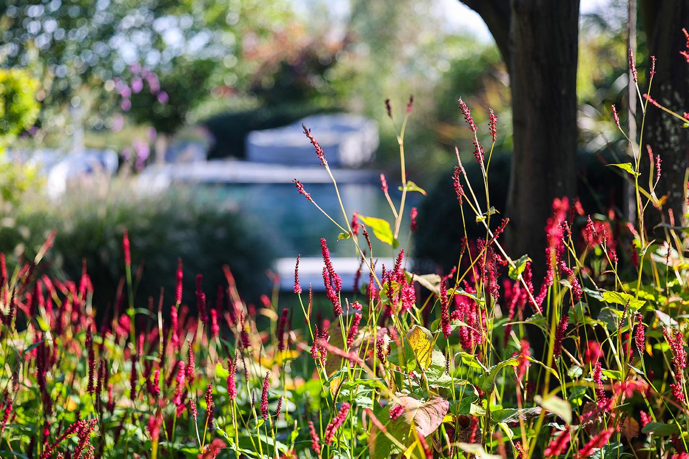 Tips voor een bloeiende tuin