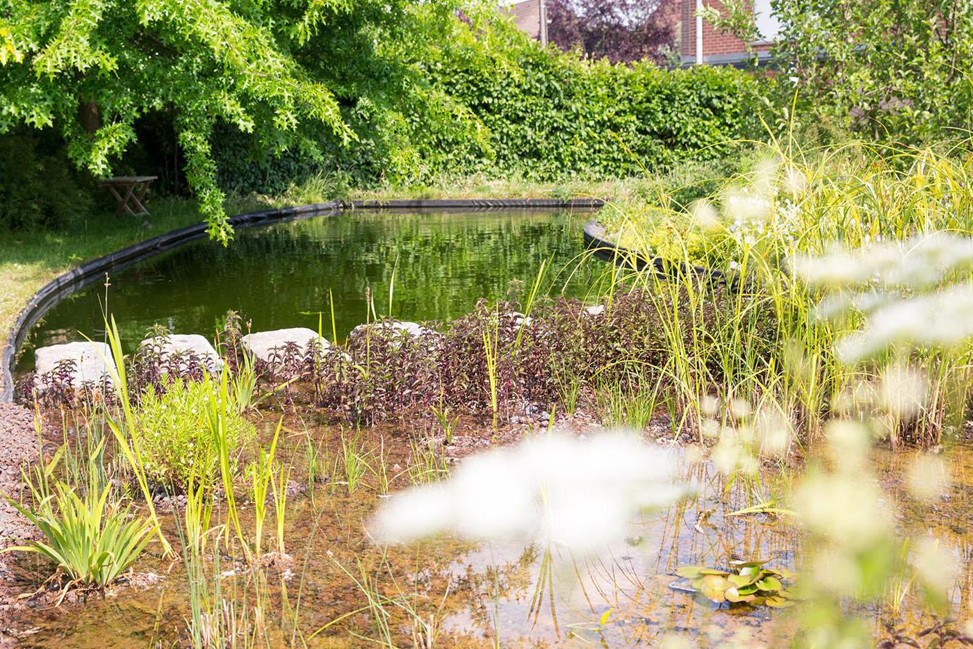 Waarom een zwemvijver in je tuin een goed idee is