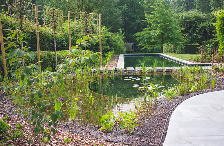 Rustieke tuin met zwemvijver