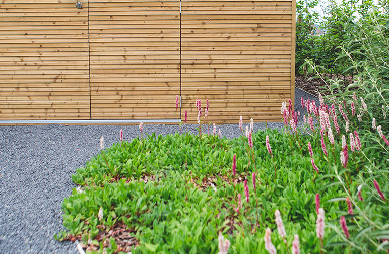 tuinwerken willemsens - kleine tuin herent