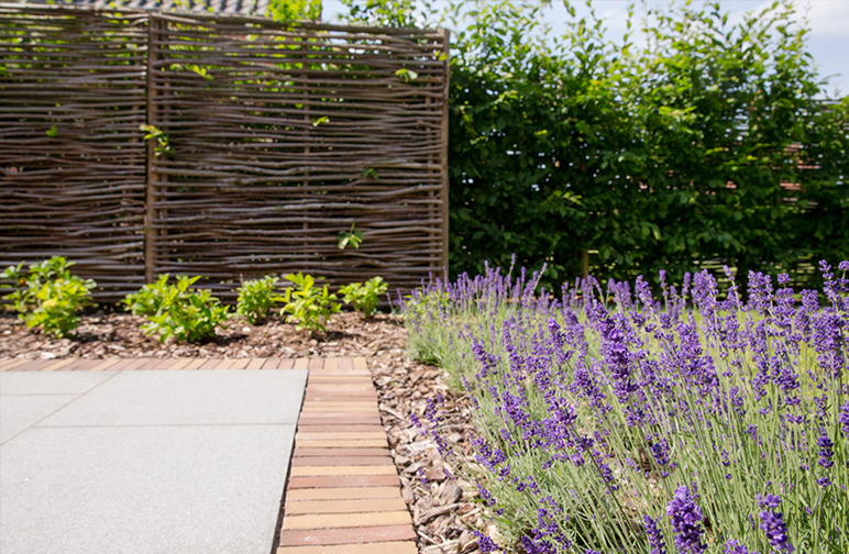 tuinwerken willemsens - kleine tuin herent