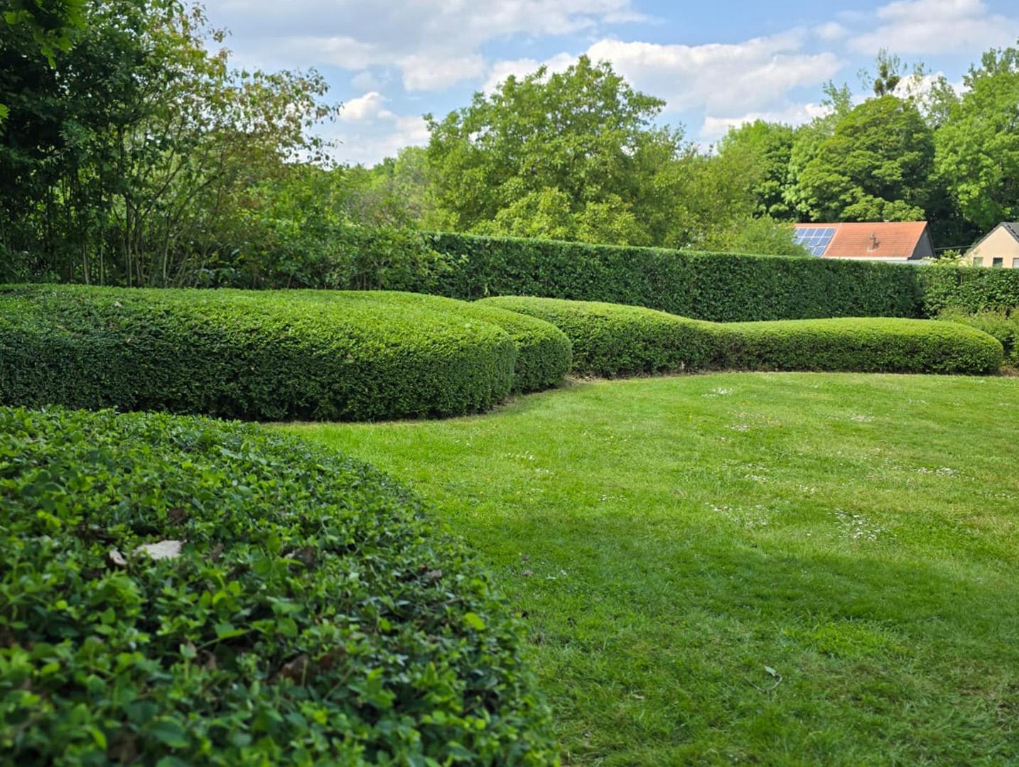 lentesnoei Juni, snoeimaand. De belangrijkste redenen om te snoeien