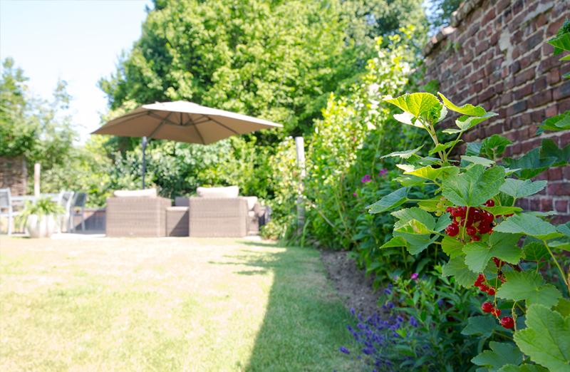 Kleine gezellige tuin in Boutersem Kleine gezellige tuin in Boutersem
