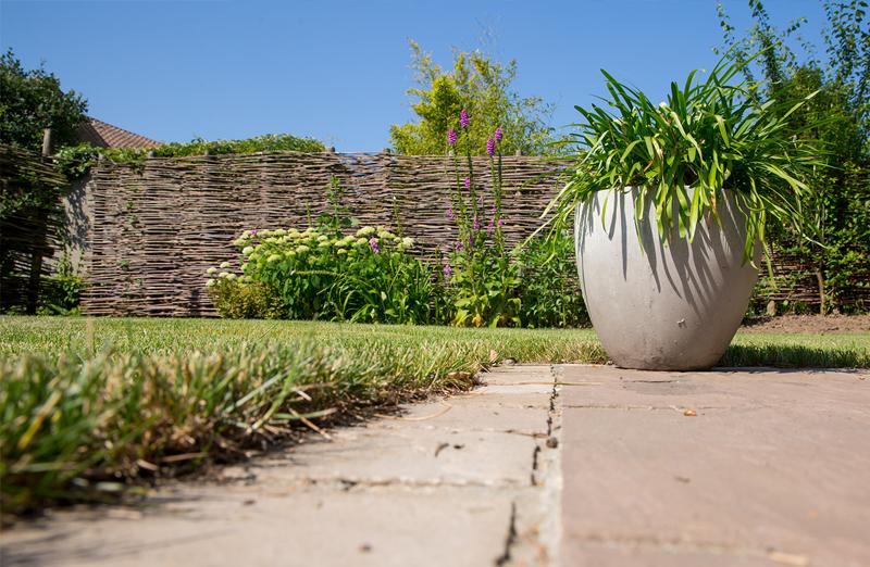 Kleine gezellige tuin in Boutersem Kleine gezellige tuin in Boutersem