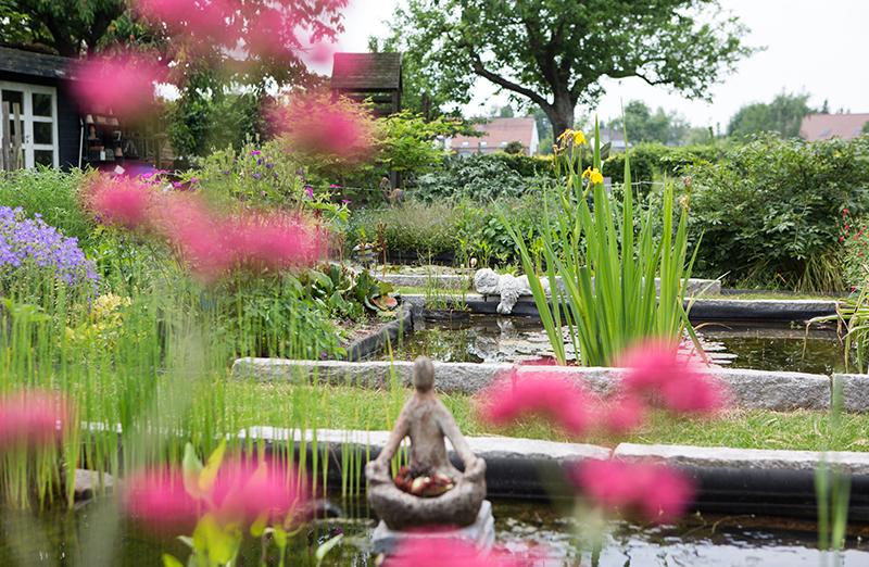 Natuurlijke tuin Blanden