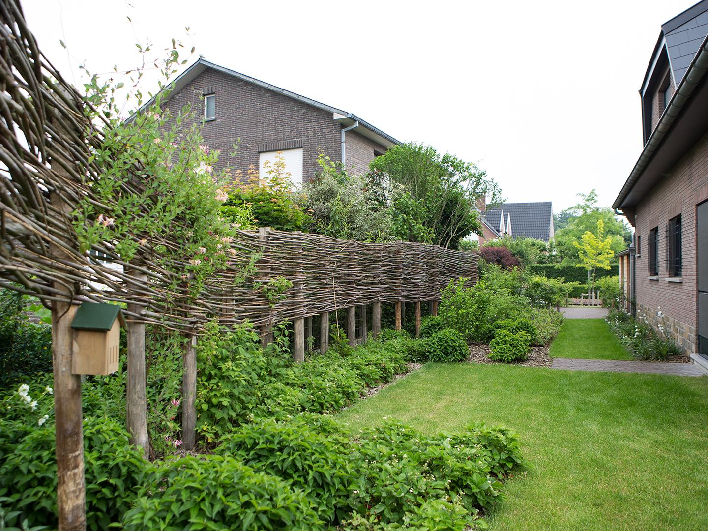 kleurrijke tuin met wilgentenen