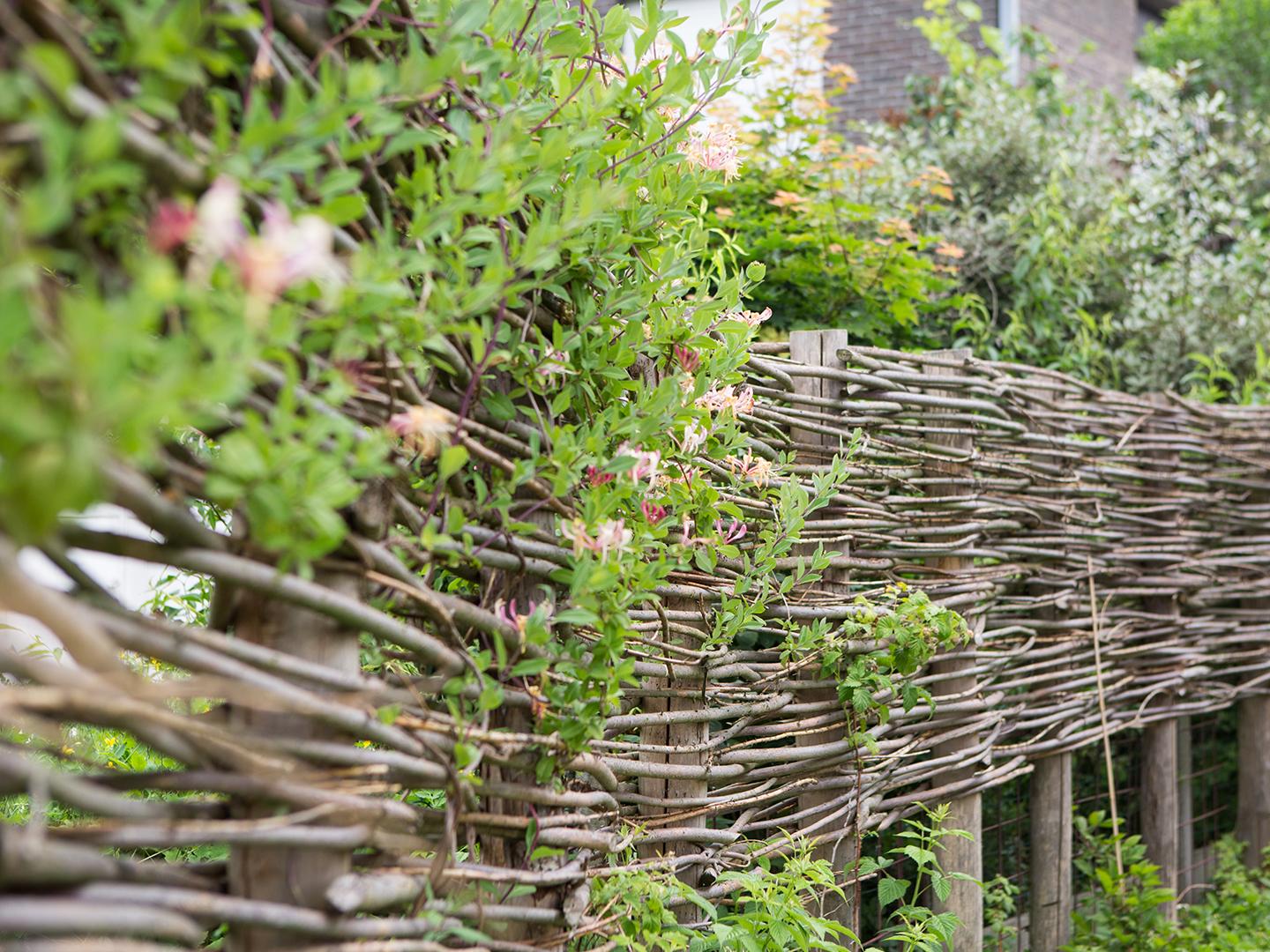 kleurrijke tuin met wilgentenen