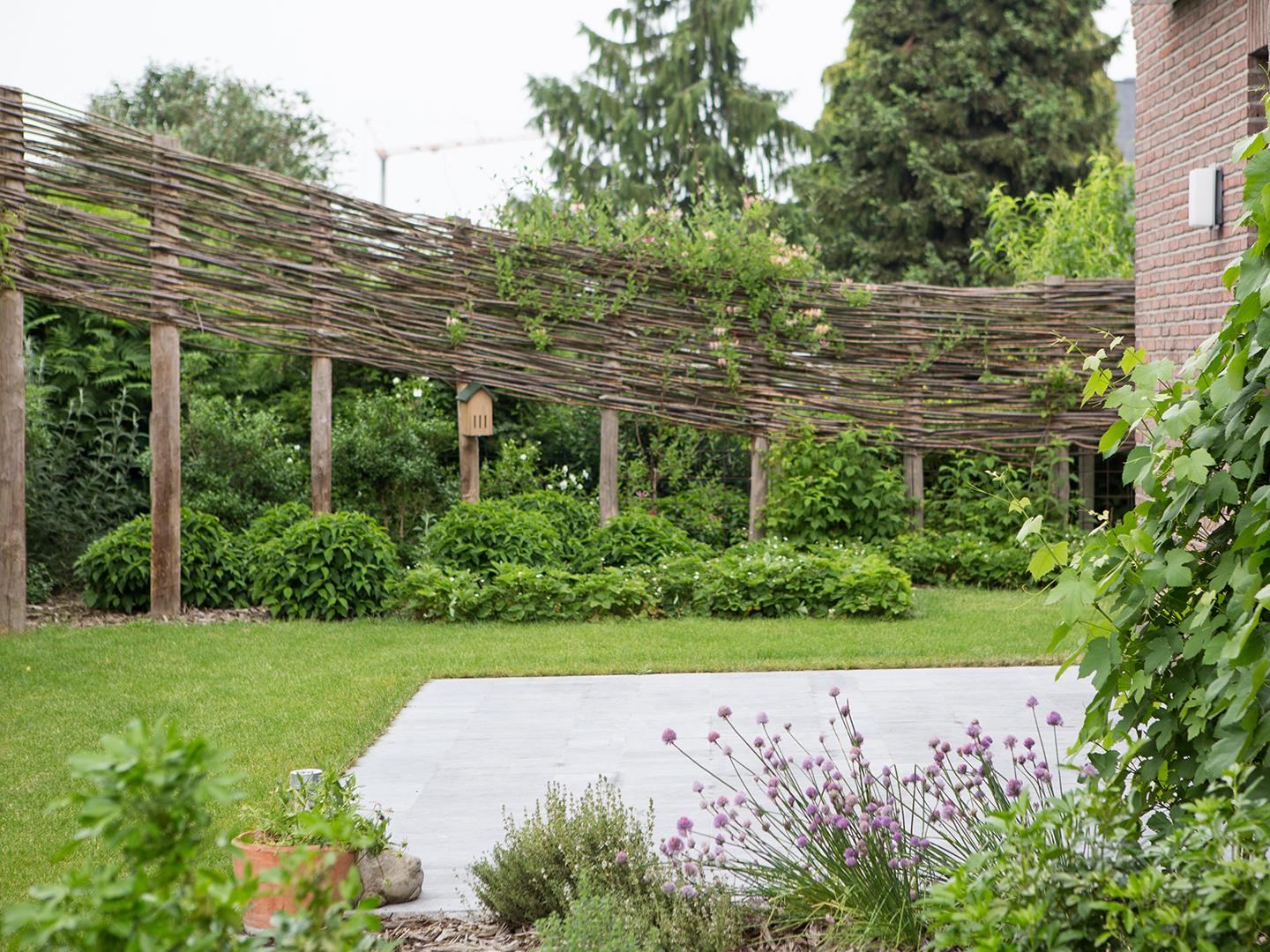 kleurrijke tuin met wilgentenen