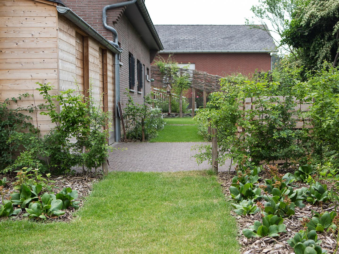 kleurrijke tuin met wilgentenen