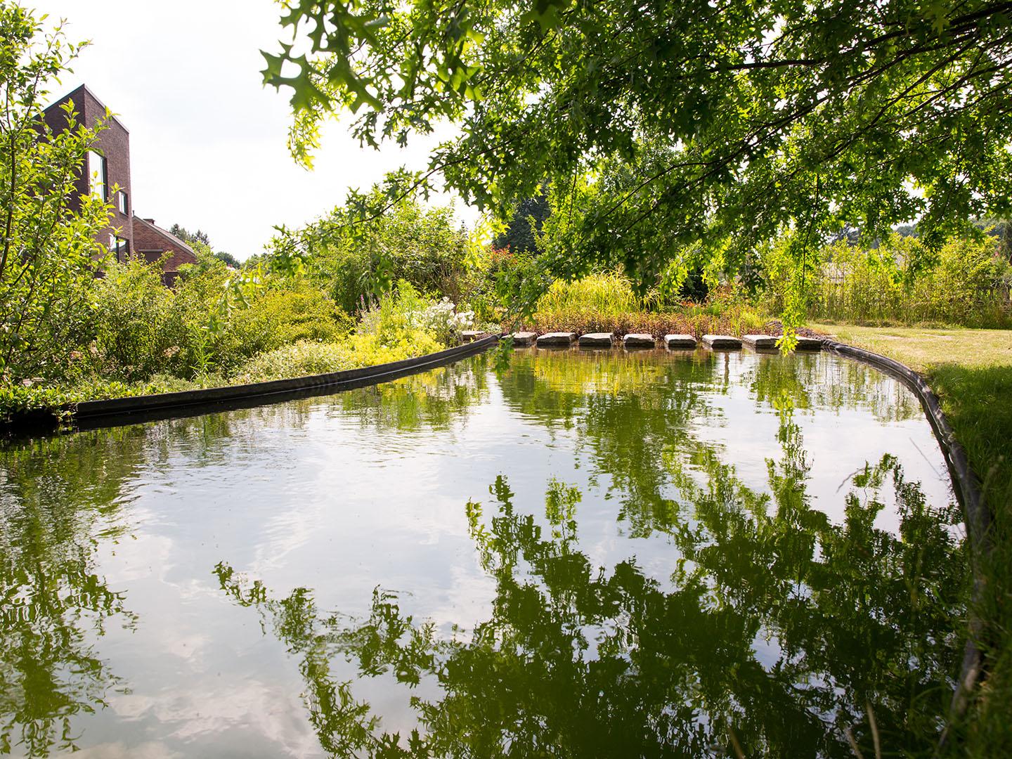 Zwemvijver Tuinwerken Willemsens