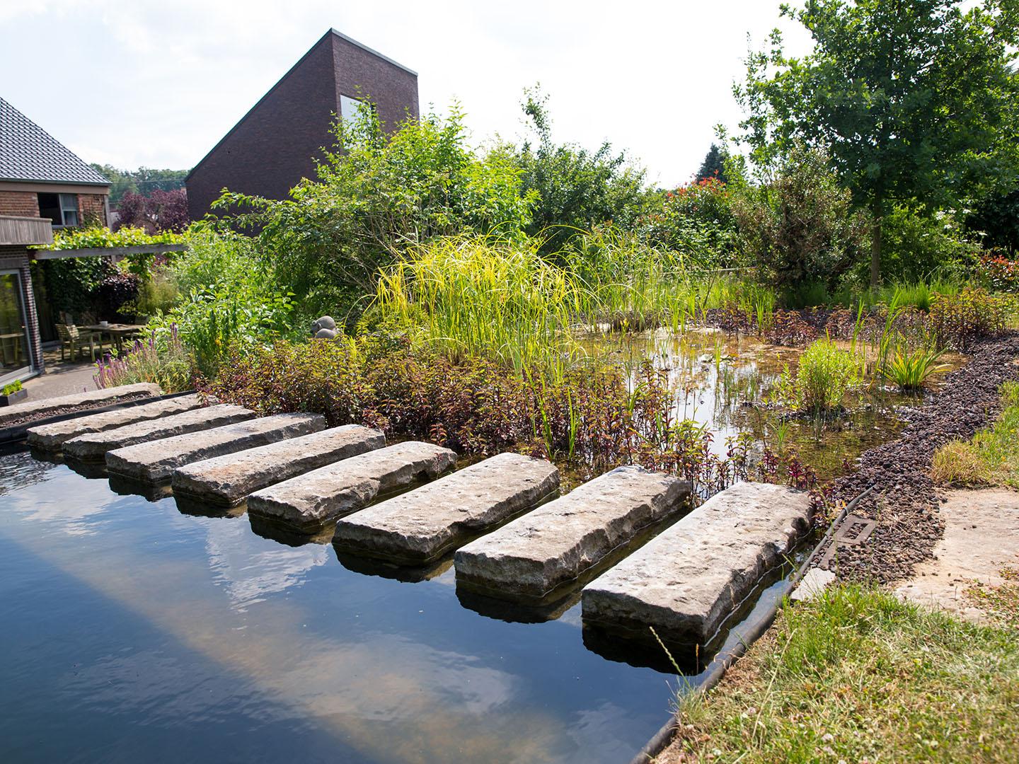 Zwemvijver Tuinwerken Willemsens