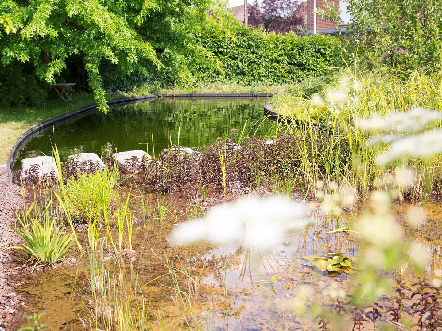 Zwemvijver Tuinwerken Willemsens